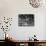 Shelves of Illegal Liquor Stored in the Nypd Property Clerks Office-Carl Mydans-Mounted Photographic Print displayed on a wall