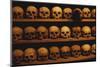 Shelves of Monk Skulls at Great Meteoron Ossuary-Paul Souders-Mounted Photographic Print