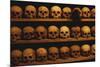 Shelves of Monk Skulls at Great Meteoron Ossuary-Paul Souders-Mounted Photographic Print