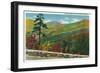 Shenandoah Nat'l Park, Virginia - Scenic Autumn View from Skyline Drive, c.1956-Lantern Press-Framed Art Print