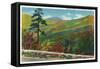 Shenandoah Nat'l Park, Virginia - Scenic Autumn View from Skyline Drive, c.1956-Lantern Press-Framed Stretched Canvas