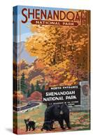 Shenandoah National Park, Virginia - Black Bear and Cubs at Entrance-Lantern Press-Stretched Canvas