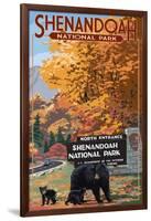 Shenandoah National Park, Virginia - Black Bear and Cubs at Entrance-Lantern Press-Framed Art Print