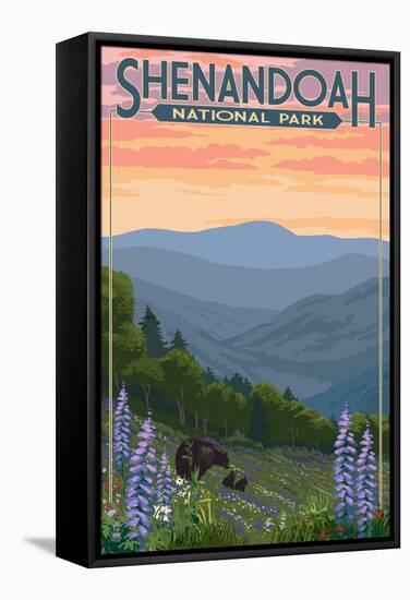 Shenandoah National Park, Virginia - Black Bear and Cubs Spring Flowers-Lantern Press-Framed Stretched Canvas