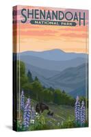 Shenandoah National Park, Virginia - Black Bear and Cubs Spring Flowers-Lantern Press-Stretched Canvas