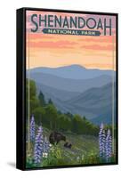 Shenandoah National Park, Virginia - Black Bear and Cubs Spring Flowers-Lantern Press-Framed Stretched Canvas