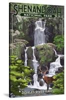 Shenandoah National Park, Virginia - Doyles River Falls-Lantern Press-Stretched Canvas