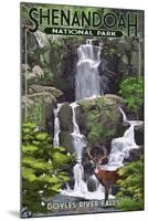 Shenandoah National Park, Virginia - Doyles River Falls-Lantern Press-Mounted Art Print