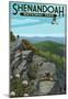 Shenandoah National Park, Virginia - Hikers And Hawk-null-Mounted Poster