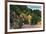 Shenandoah National Park, Virginia, Skyline Drive View of Tunnel through Solid Rock-Lantern Press-Framed Premium Giclee Print