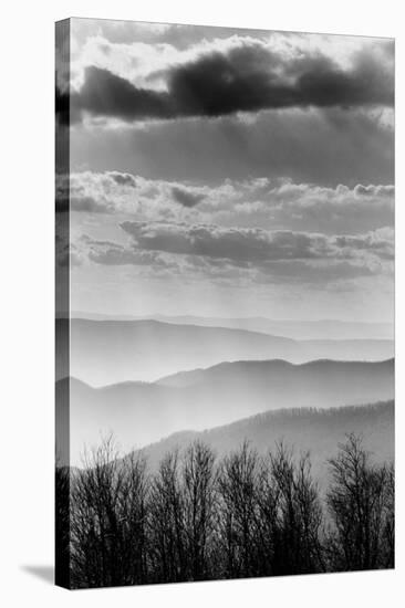 Shenandoah National Park, Virginia-null-Stretched Canvas