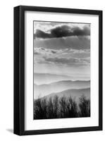 Shenandoah National Park, Virginia-null-Framed Art Print