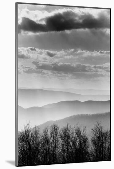 Shenandoah National Park, Virginia-null-Mounted Art Print