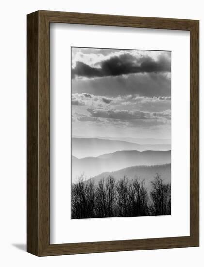 Shenandoah National Park, Virginia-null-Framed Art Print