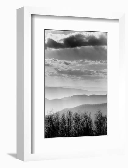 Shenandoah National Park, Virginia-null-Framed Art Print