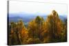 Shenandoah Valley I-Alan Hausenflock-Stretched Canvas