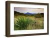 Shenandoah vista, Blue Ridge Parkway, Smoky Mountains, USA.-Anna Miller-Framed Photographic Print