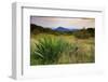 Shenandoah vista, Blue Ridge Parkway, Smoky Mountains, USA.-Anna Miller-Framed Photographic Print