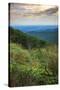 Shenandoah vista, Blue Ridge Parkway, Smoky Mountains, USA.-Anna Miller-Stretched Canvas