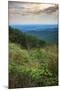 Shenandoah vista, Blue Ridge Parkway, Smoky Mountains, USA.-Anna Miller-Mounted Photographic Print