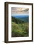 Shenandoah vista, Blue Ridge Parkway, Smoky Mountains, USA.-Anna Miller-Framed Photographic Print