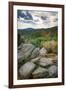 Shenandoah vista, Blue Ridge Parkway, Smoky Mountains, USA.-Anna Miller-Framed Photographic Print