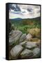 Shenandoah vista, Blue Ridge Parkway, Smoky Mountains, USA.-Anna Miller-Framed Stretched Canvas