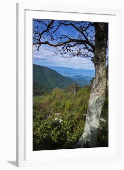 Shenandoah vista, Blue Ridge Parkway, Smoky Mountains, USA.-Anna Miller-Framed Photographic Print