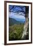 Shenandoah vista, Blue Ridge Parkway, Smoky Mountains, USA.-Anna Miller-Framed Photographic Print