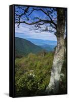 Shenandoah vista, Blue Ridge Parkway, Smoky Mountains, USA.-Anna Miller-Framed Stretched Canvas