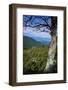 Shenandoah vista, Blue Ridge Parkway, Smoky Mountains, USA.-Anna Miller-Framed Photographic Print