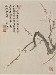 Blossoming Plum from a Flower Album of Ten Leaves, 1656-Shengmo Xiang-Giclee Print