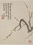 Crab-Apple Blossom from a Flower Album of Ten Leaves, 1656-Shengmo Xiang-Giclee Print