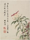 Blossoming Plum from a Flower Album of Ten Leaves, 1656-Shengmo Xiang-Framed Giclee Print