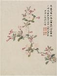 Cock'S-Comb from a Flower Album of Ten Leaves, 1656-Shengmo Xiang-Framed Giclee Print