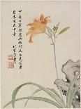 Cock'S-Comb from a Flower Album of Ten Leaves, 1656-Shengmo Xiang-Framed Giclee Print