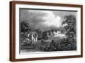 Brown Frame
