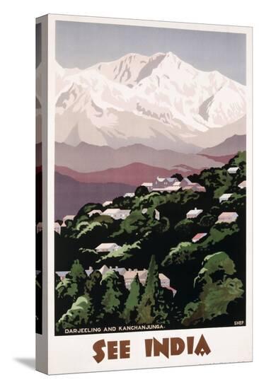 Stretched Canvas Print, , large