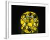 Shepard Diamond-null-Framed Photographic Print