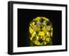 Shepard Diamond-null-Framed Photographic Print