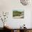 Shepherd and His Flock, Near Itero De La Vega, Palencia, Castilla Y Leon, Spain, Europe-Ken Gillham-Photographic Print displayed on a wall