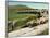 Shepherd and His Flock, Near Itero De La Vega, Palencia, Castilla Y Leon, Spain, Europe-Ken Gillham-Framed Photographic Print