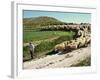 Shepherd and His Flock, Near Itero De La Vega, Palencia, Castilla Y Leon, Spain, Europe-Ken Gillham-Framed Photographic Print