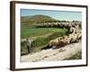 Shepherd and His Flock, Near Itero De La Vega, Palencia, Castilla Y Leon, Spain, Europe-Ken Gillham-Framed Photographic Print