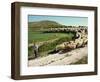 Shepherd and His Flock, Near Itero De La Vega, Palencia, Castilla Y Leon, Spain, Europe-Ken Gillham-Framed Photographic Print