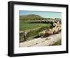 Shepherd and His Flock, Near Itero De La Vega, Palencia, Castilla Y Leon, Spain, Europe-Ken Gillham-Framed Photographic Print