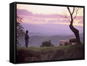 Shepherd and Sheep at Dusk, Near Volterra, Tuscany, Italy, Europe-Patrick Dieudonne-Framed Stretched Canvas