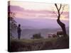 Shepherd and Sheep at Dusk, Near Volterra, Tuscany, Italy, Europe-Patrick Dieudonne-Stretched Canvas