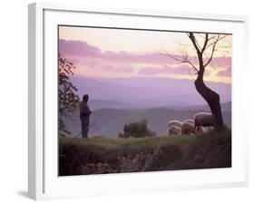 Shepherd and Sheep at Dusk, Near Volterra, Tuscany, Italy, Europe-Patrick Dieudonne-Framed Photographic Print