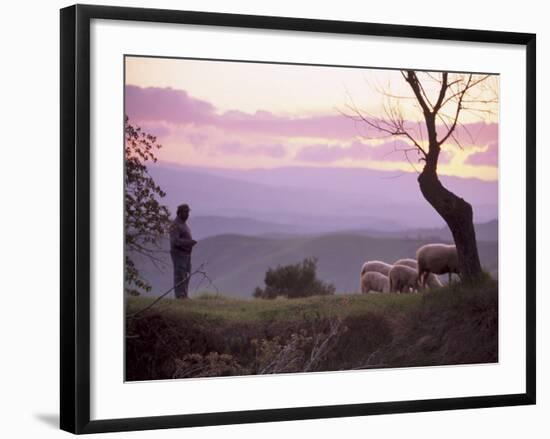 Shepherd and Sheep at Dusk, Near Volterra, Tuscany, Italy, Europe-Patrick Dieudonne-Framed Photographic Print